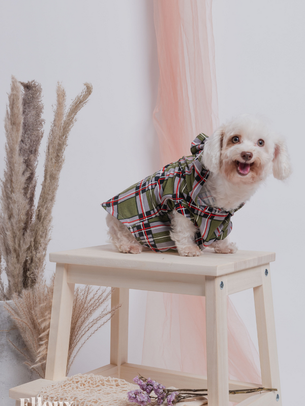 Green Checkered FurBaby Hoodie