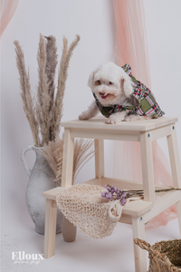 Green Checkered FurBaby Hoodie and FurMom Self-Tie Coordinates