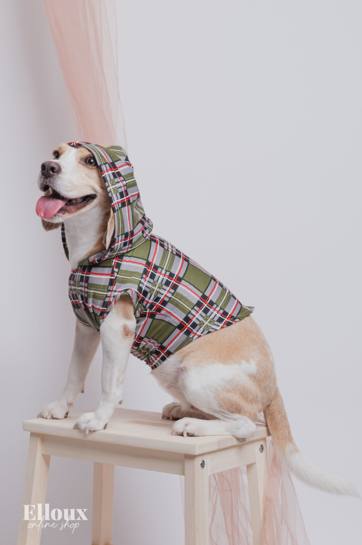 Green Checkered FurBaby Hoodie and FurMom Self-Tie Coordinates