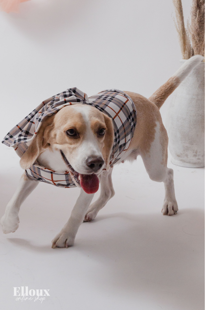 White Checkered FurBaby Hoodie