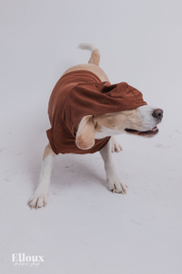 Choco FurBaby Hoodie